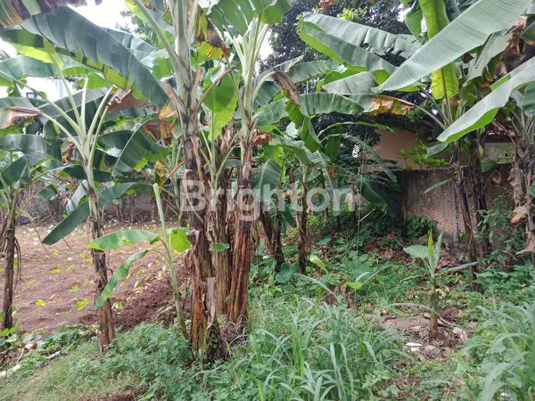 image TANAH PREMIUM 2460M² DI CIMANGGU PERMAI, 5 MENIT KE TOL BORR (5)