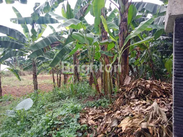 image TANAH PREMIUM 2460M² DI CIMANGGU PERMAI, 5 MENIT KE TOL BORR (2)