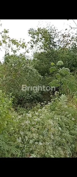 image LAND FOR SALE IN TEGALMENKEB (3)