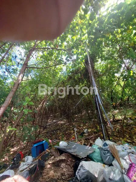 image TANAH  STRATEGIS 14.4 ARE, BISA DIBELI 7 ARE DI JALAN DEWI SRI KUTA BALI (1)