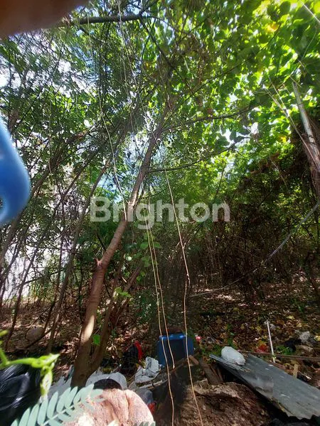 image TANAH  STRATEGIS 14.4 ARE, BISA DIBELI 7 ARE DI JALAN DEWI SRI KUTA BALI (2)