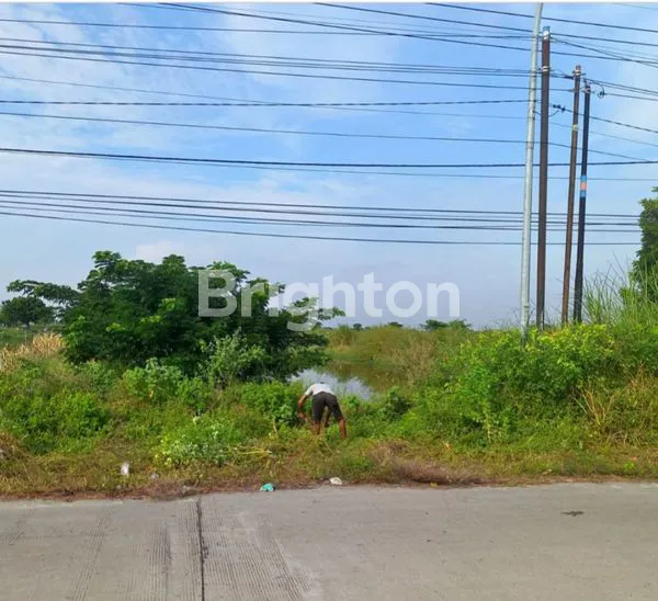 image TANAH PREMIUM 2850M² DEKAT JIIPE & TOL MANYAR GRESIK (2)