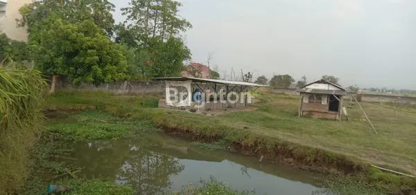 image TANAH KOSONG 8.500 M² – BELAKANG PERUMAHAN PILANG SARI, KEDAWUNG (3)