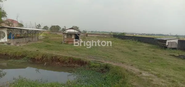 image TANAH KOSONG 8.500 M² – BELAKANG PERUMAHAN PILANG SARI, KEDAWUNG (2)