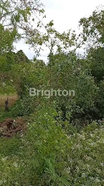 LAND FOR SALE IN TEGALMENKEB
