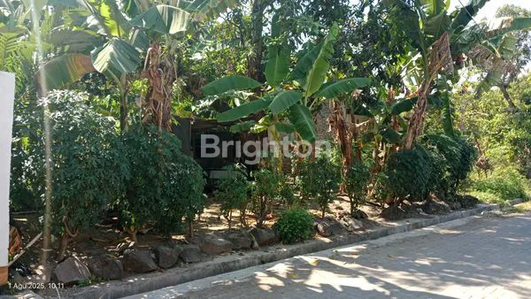 image TANAH SIAP BANGUN DI BLANCIR PLAMONGAN SEMARANG (4)