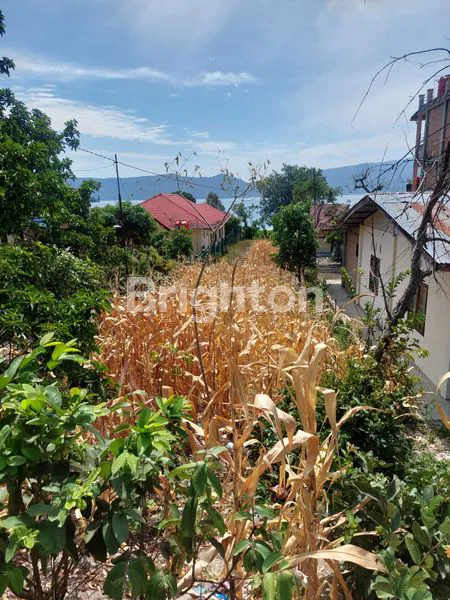 image TANAH KOSONG DI PINGGIR JALAN LINTAS (2)