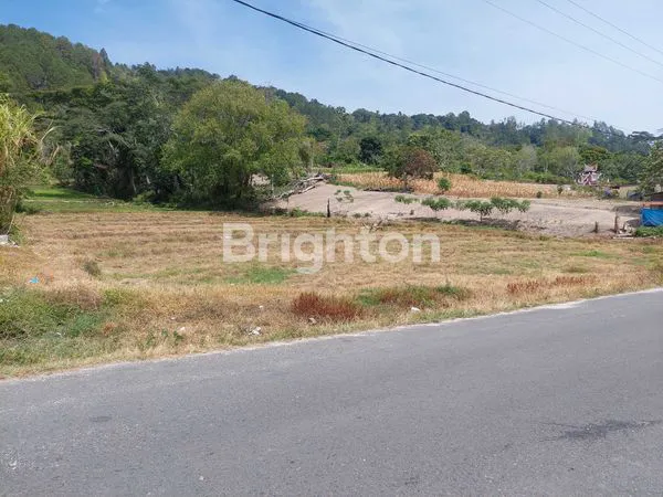 image TANAH  DI AREA TOMOK (4)