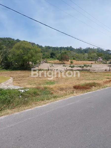 image TANAH  DI AREA TOMOK (5)