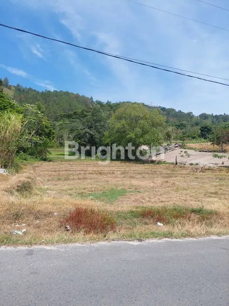 image TANAH  DI AREA TOMOK (1)