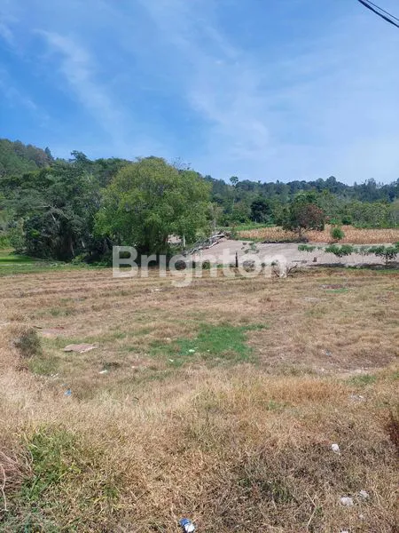 image TANAH  DI AREA TOMOK (3)