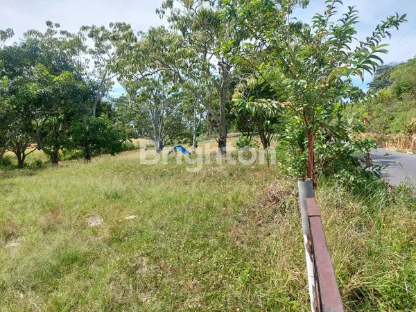 image TANAH LUAS MENGHADAP DANAU TOBA (5)