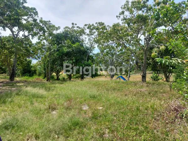 image TANAH LUAS MENGHADAP DANAU TOBA (6)