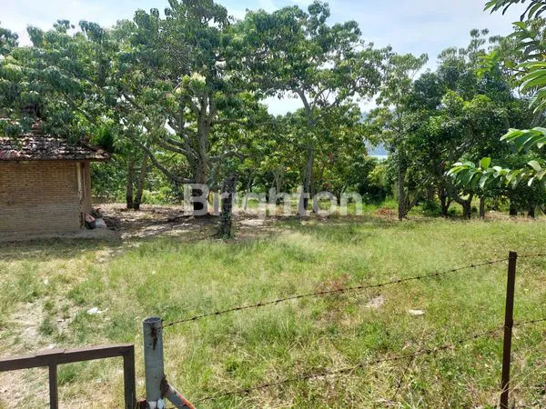 image TANAH LUAS MENGHADAP DANAU TOBA (4)