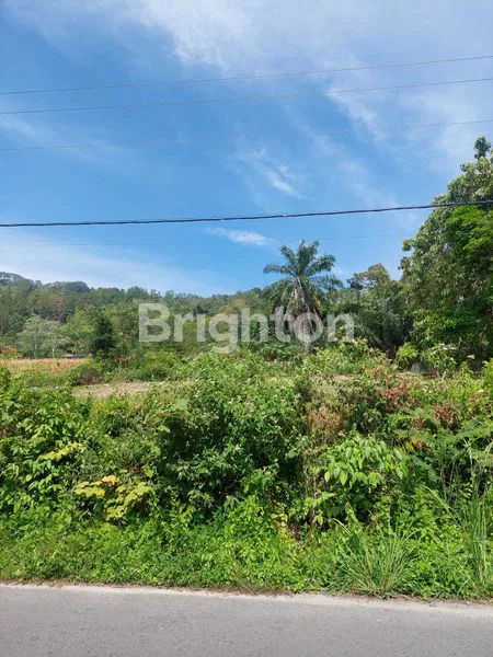 image TANAH AREA BUKIT (2)