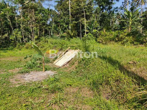 image TANAH PREMIUM 753M² DEKAT LINGKAR SELATAN SALATIGA, SUDAH SHM (1)