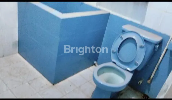 image RUMAH KEBUN JERUK (6)