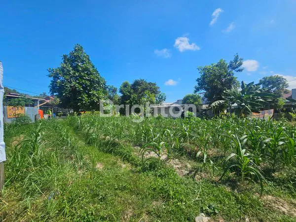 image TANAH COCOK UNTUK RUMAH ATAU KOS2AN DI SEPINGGAN (2)