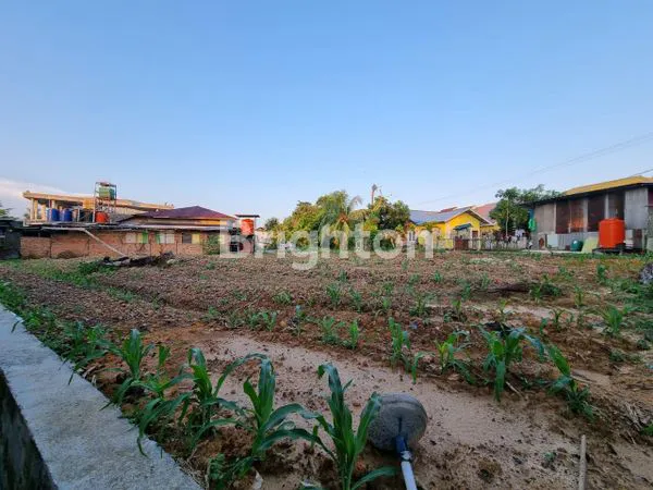 image TANAH COCOK UNTUK RUMAH ATAU KOS2AN DI SEPINGGAN (5)