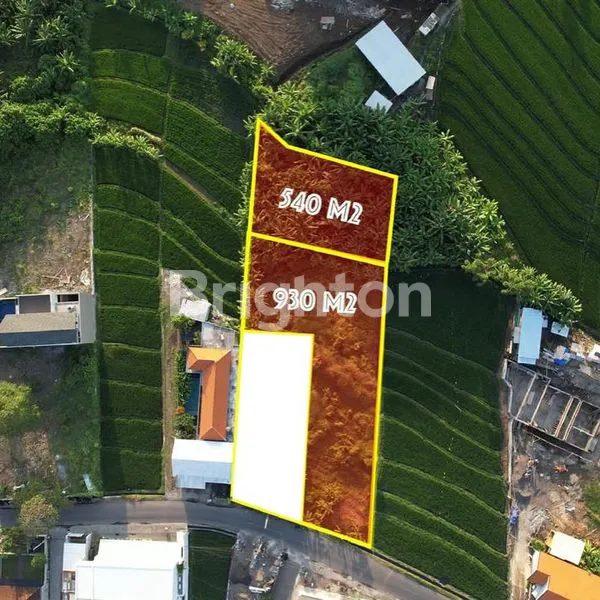 image LAHAN JALAN UTAMA DI KAWASAN VILLA PERERENAN, CANGGU - BALI (6)