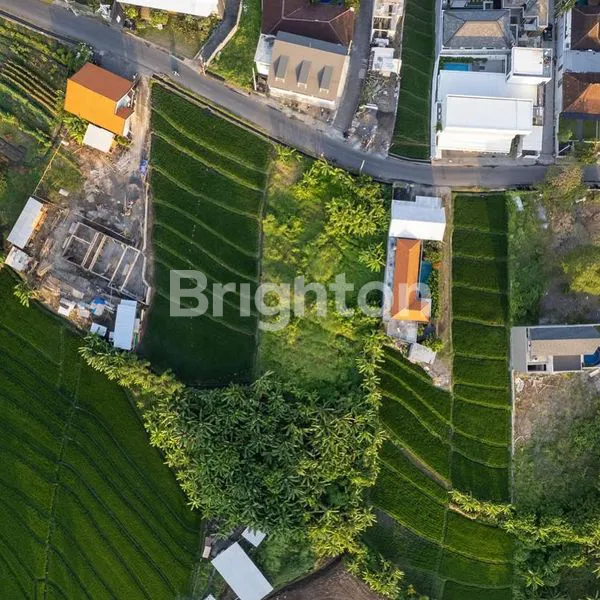 image LAHAN JALAN UTAMA DI KAWASAN VILLA PERERENAN, CANGGU - BALI (3)