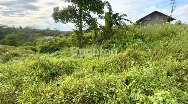 image TANAH KARIANGAU PINGGIR JALAN BESAR (1)