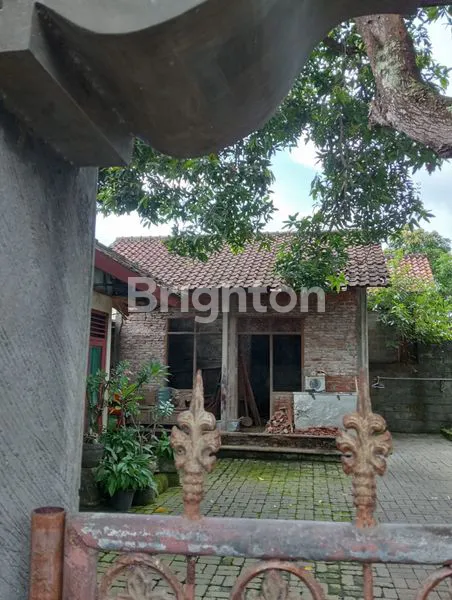 image DISEWAKN TANAH 25.5 ARE DI GATSU (7)