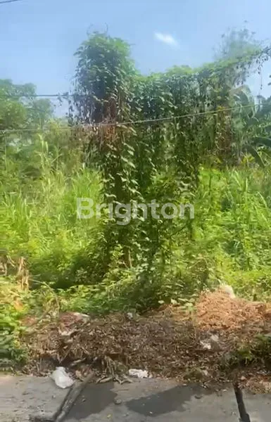 TANAH PREMIUM 304M² DI MOROWUDI CERME, DEKAT PUSAT GRESIK