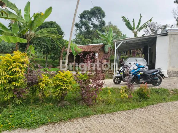 image TANAH MURAH FREE BANGUNAN DI PUNCAK 2  (1)