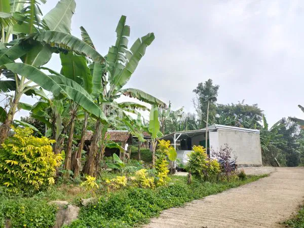 image TANAH MURAH FREE BANGUNAN DI PUNCAK 2  (2)