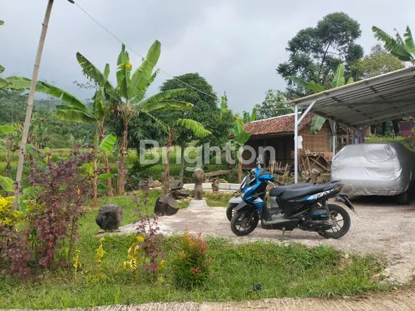 image TANAH MURAH FREE BANGUNAN DI PUNCAK 2  (3)