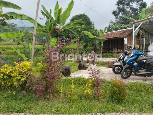 image TANAH MURAH FREE BANGUNAN DI PUNCAK 2  (5)