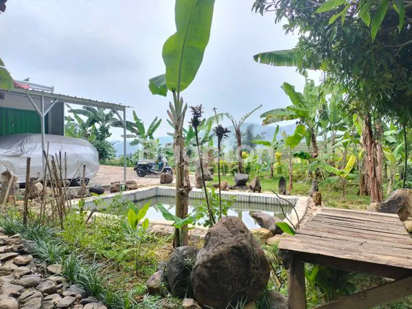 image TANAH MURAH FREE BANGUNAN DI PUNCAK 2  (6)