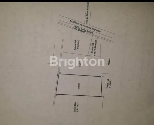 image TANAH DI BALONGPANGGANG GRESIK (2)