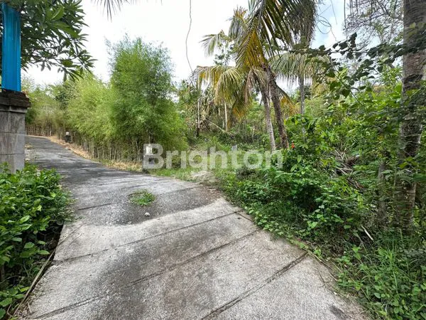 image TANAH KAWASAN VILLA COCOK UNTUK INVESTASI  LOKASI SUKASADA BULELENG (3)