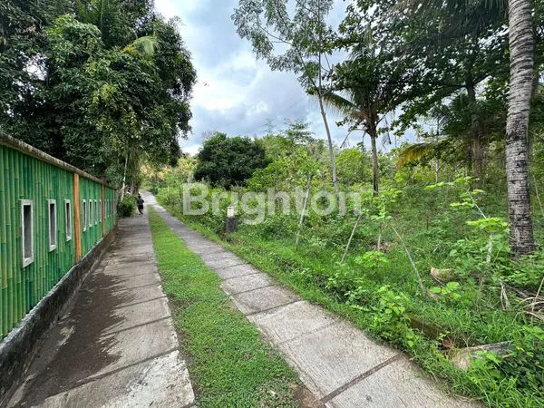 image TANAH KAWASAN VILLA COCOK UNTUK INVESTASI  LOKASI SUKASADA BULELENG (4)