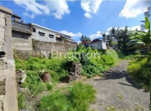 image TANAH STRATEGIS HADAP TIMUR DI LINGKUNGAN TENANG MENGWI (2)