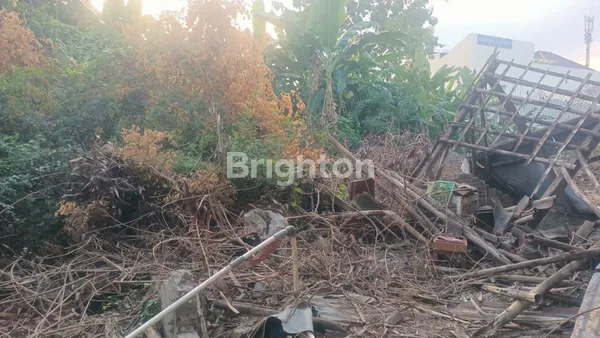 image TANAH LUAS 979 MT NAYU TIMUR SOLO (6)