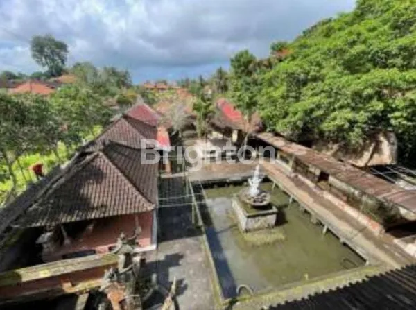 image TANAH LUAS STRATEGIS DI PUSAT KAWASAN KOMERSIAL UBUD (1)