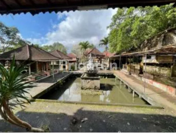 image TANAH LUAS STRATEGIS DI PUSAT KAWASAN KOMERSIAL UBUD (2)