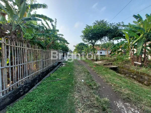 image GUDANG KECIL + RUMAH (3)