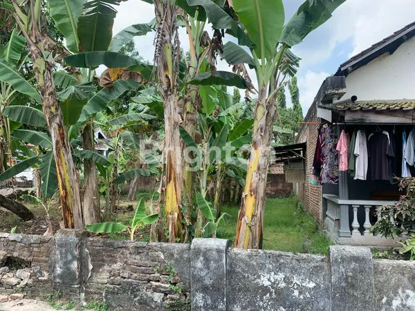 image TANAH PREMIUM 119M² DEKAT PG REJO AGUNG, SIAP BANGUN (3)