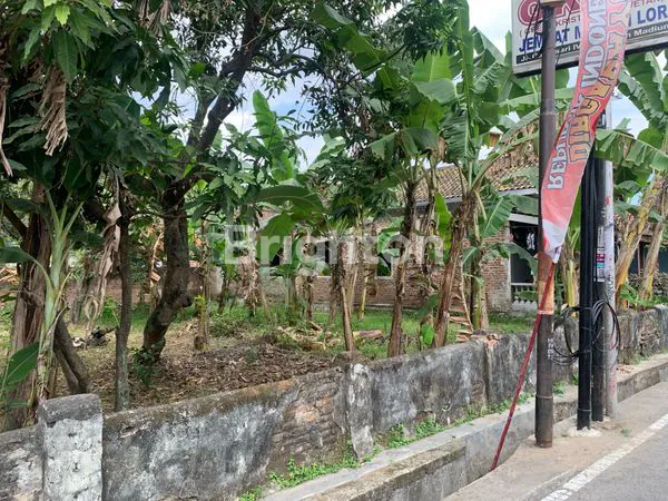 image TANAH PREMIUM 119M² DEKAT PG REJO AGUNG, SIAP BANGUN (2)