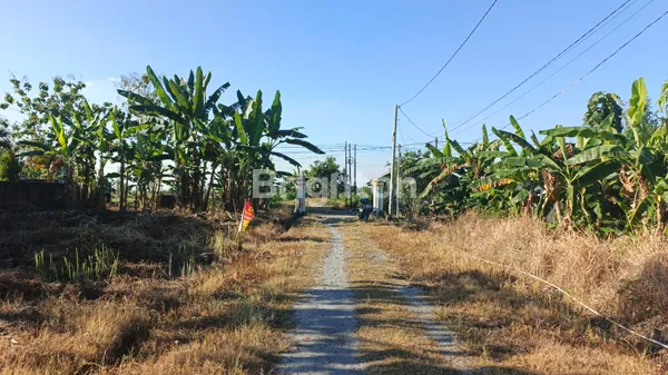 image TANAH KAVLING DI JUAL BAKALANPULE KEC. TIKUNG, LAMONGAN (3)