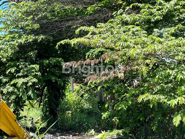 image TANAH KEDAMAIAN BANDAR LAMPUNG (5)