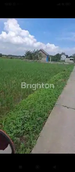 TANAH 50 X 80 DI SERANG