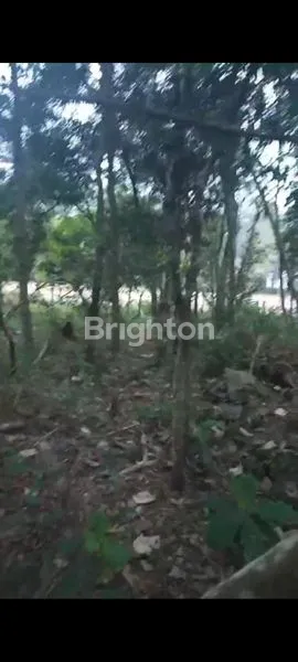 image KAVLING STRATEGIS 200M² TEPI PANTAI PANCER DORR PACITAN (6)