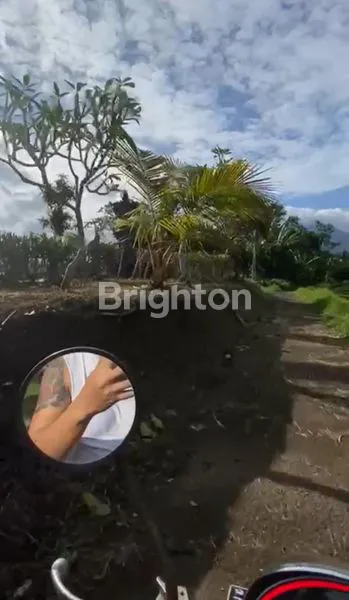 image DIJUAL TANAH 42 ARE – VIEW GUNUNG, DEKAT JATILUWIH – SANGAT COCOK UNTUK VILLA (2)