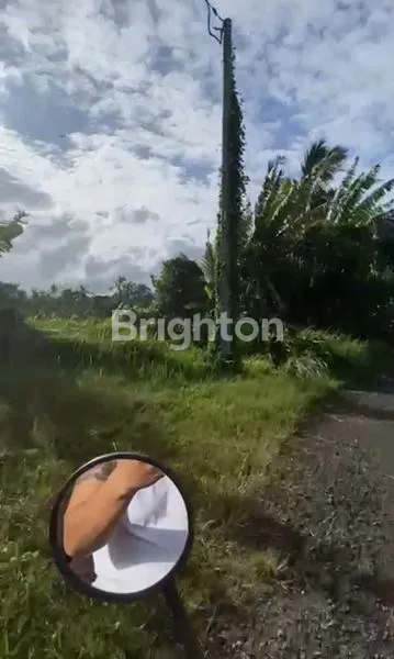 image DIJUAL TANAH 42 ARE – VIEW GUNUNG, DEKAT JATILUWIH – SANGAT COCOK UNTUK VILLA (3)