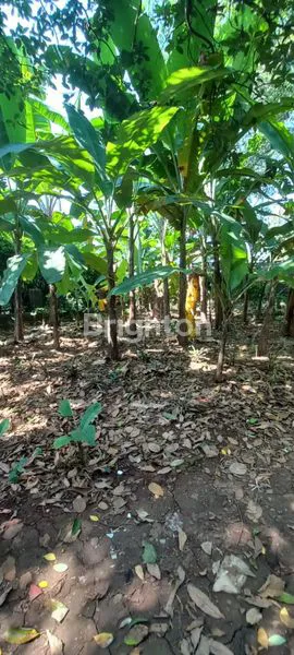 image TANAH STRATEGIS DEKAT STASIUN LRT HARJAMUKTI  (8)